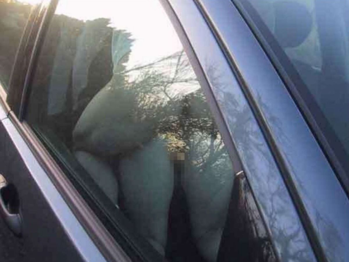 せっまい車内でヤってるカーセックスのエロ画像wwwの画像143